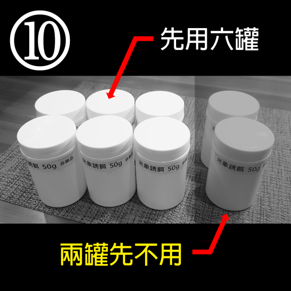 獨棟樓房 衣蛾 Plus 款