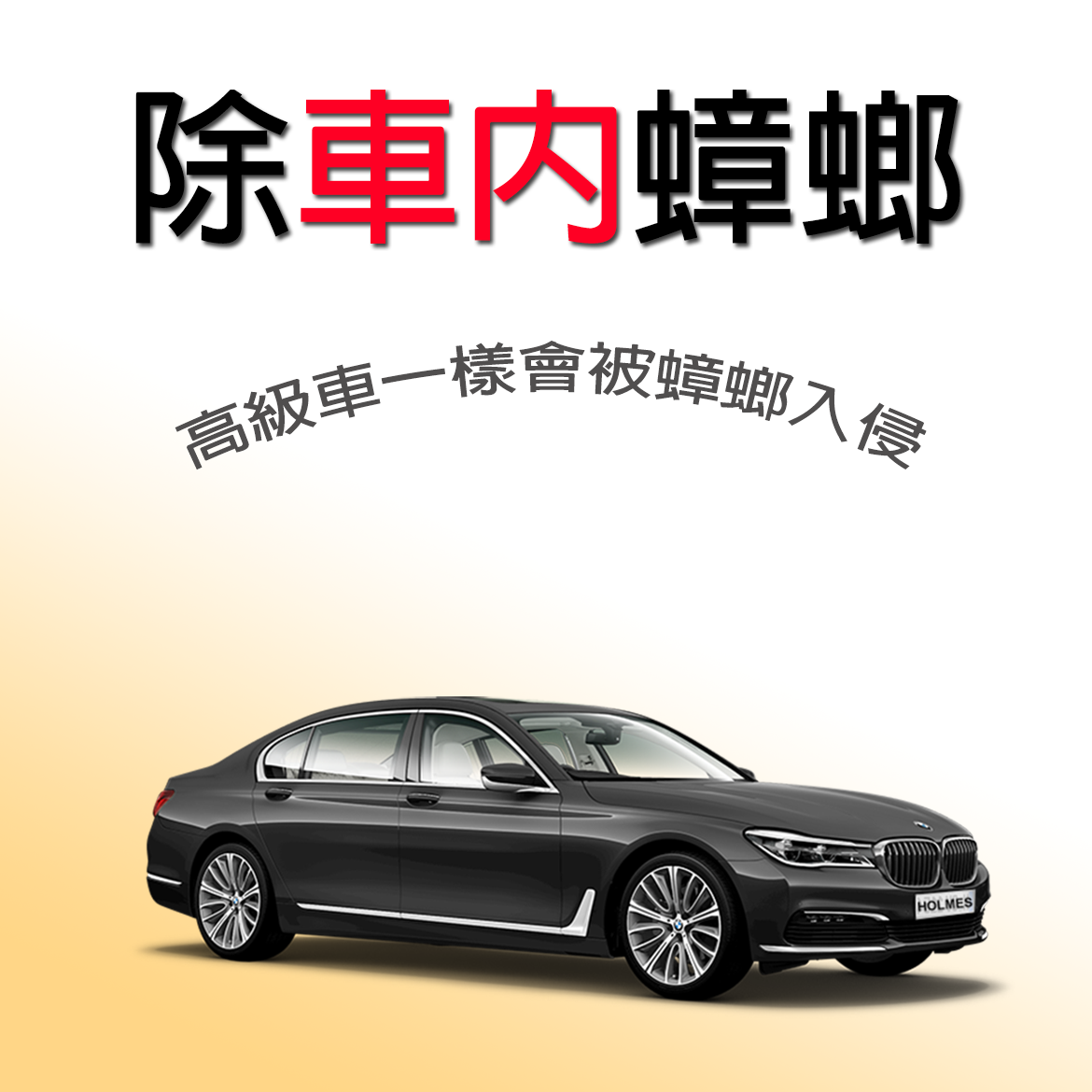 (嚴重時) 車內除蟑款