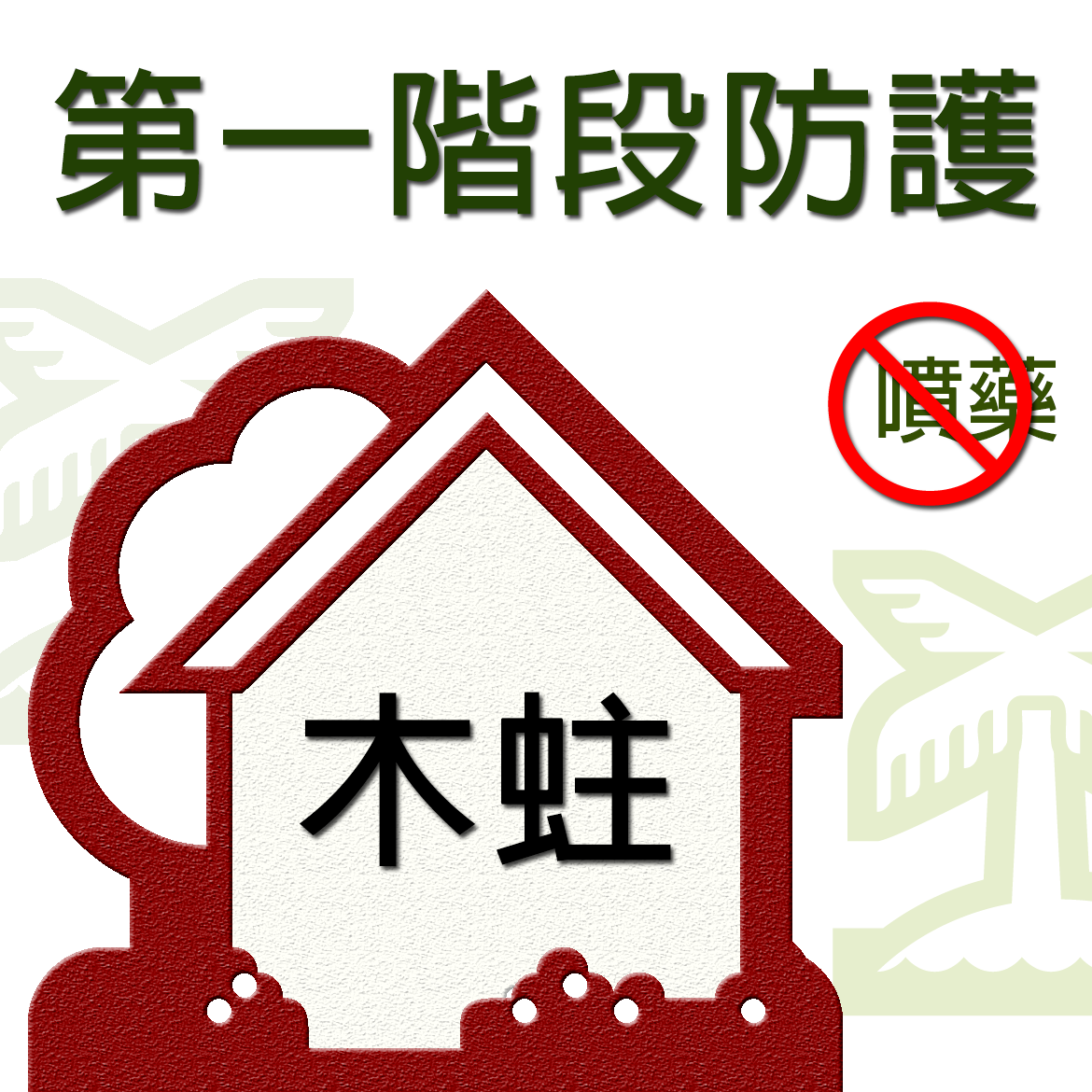 小範圍木蛀防護 B 款