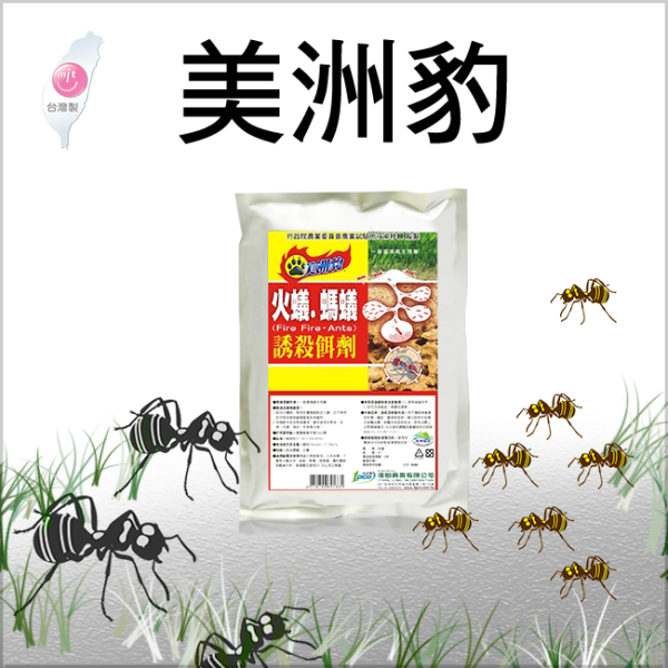 美洲豹